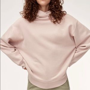 Aritzia Wilfred Free Ali Hoodie